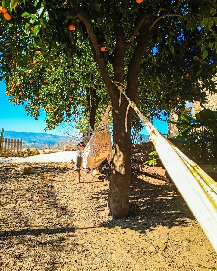 Verde Agua Agroturismo E Agricultura Biologica Couto Eksteriør billede