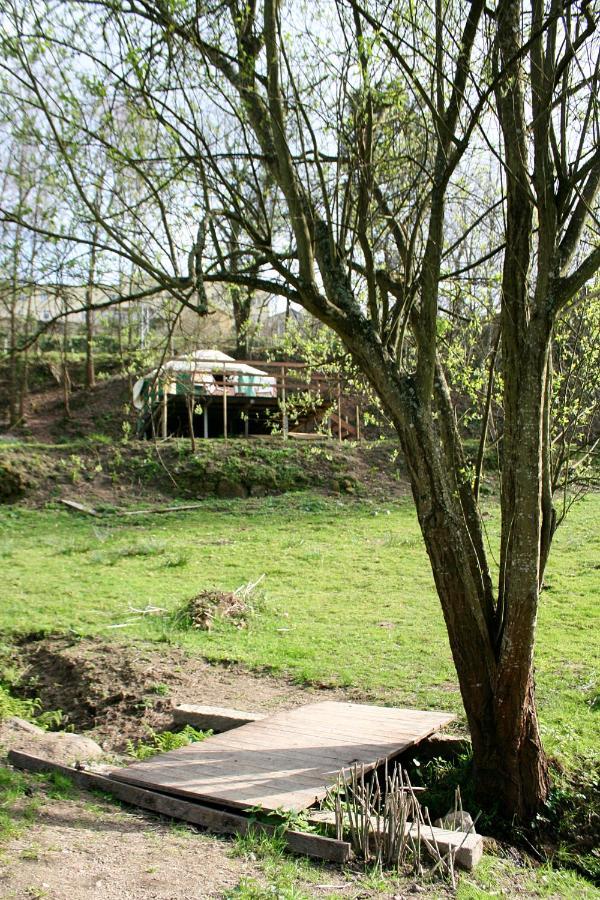 Verde Agua Agroturismo E Agricultura Biologica Couto Eksteriør billede